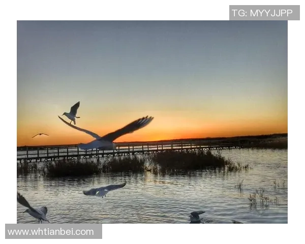 当我老婆邂逅足球明星的那些年我们一起追逐的梦想与爱情