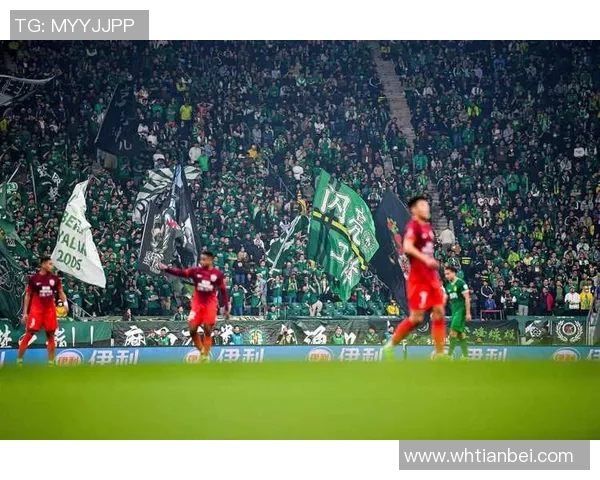 格林达维与贝雷达的精彩对决引发球迷热议与期待